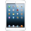Apple iPad mini 16Gb Wi-Fi + Cellular белый - Новотроицк