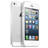 Apple iPhone 5 64Gb white - Новотроицк